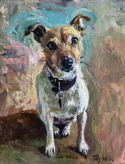 Jack Russell, 2020 by Tilly Willis