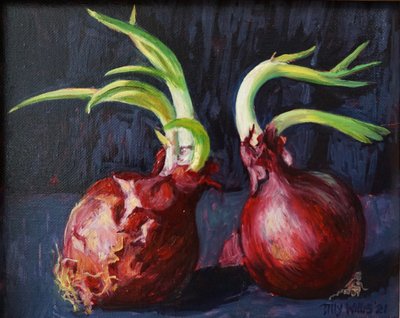 Onions by Tilly Willis