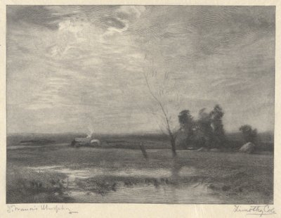 Landscape, Afternoon by Timothy Cole