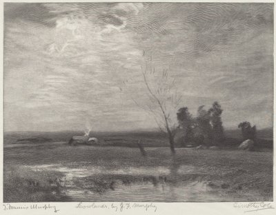 Lowlands by Timothy Cole after John Francis Murphy