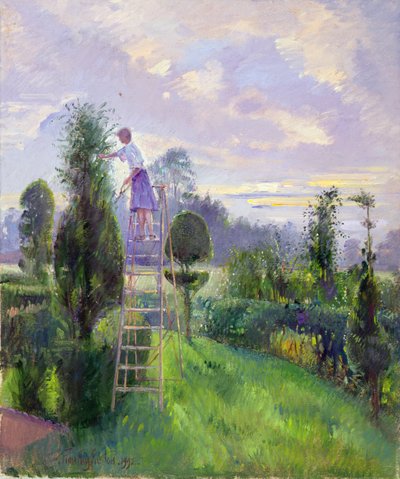 Shaping Up by Timothy Easton