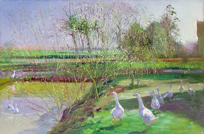 Willow and Geese by Timothy Easton