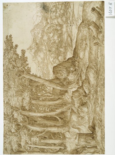 Landscape by Titian (c.1488 1576)