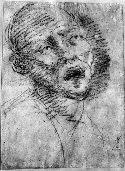Head of a Moor by Tiziano Vecelli