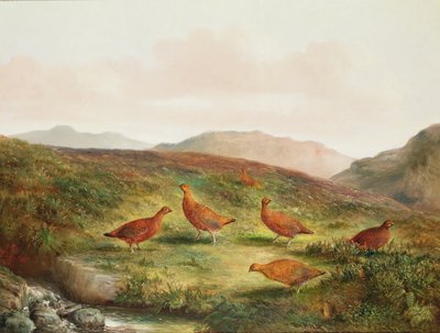 Grouse in a Moorland landscape by Tom Hold