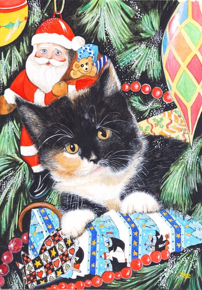 Black and White Christmas Kitten by Tony Todd