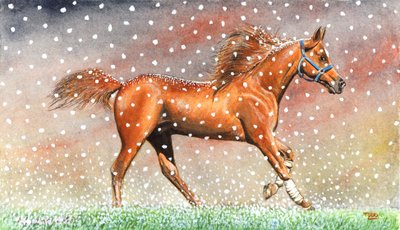 Christmas Snow by Tony Todd