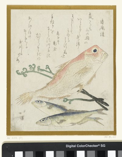 Three Fish and Eagle Fern by Totoya Hokkei