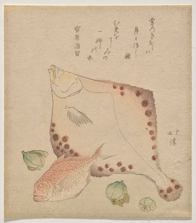 Flounder, sea bream with fukujusō buds by Totoya Hokkei