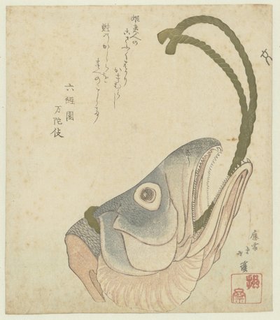 Head of a Salmon by Totoya Hokkei