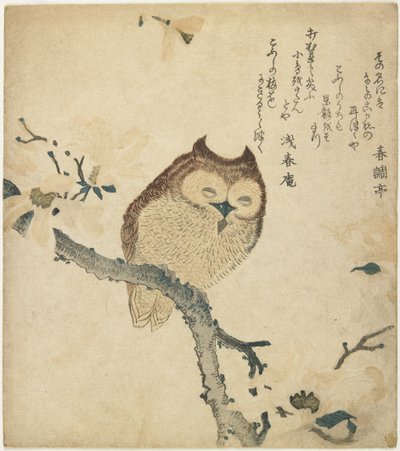 Owl, early 19th century by Toyota Hokkei