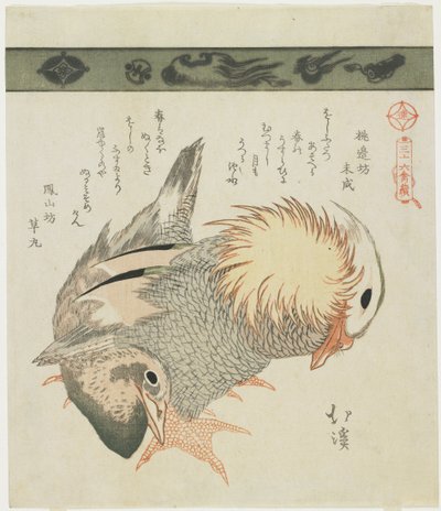 Mandarin Duck and Drake, c. 1830 by Toyota Hokkei