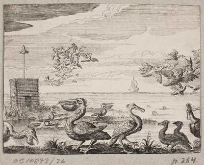 Pelicans by Ubekendt