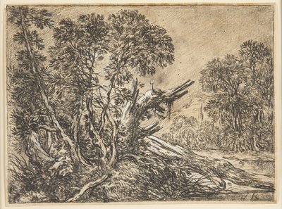 Forest Landscape with a Broken Tree by Ubekendt