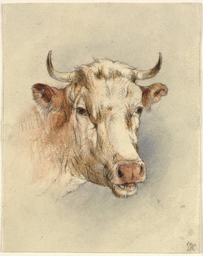 Head of a Bull by Ubekendt KKSgb7508 KKSgb7512
