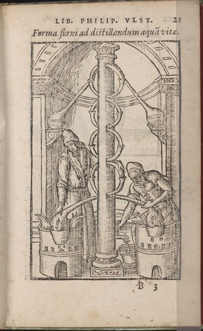 Alchemical Apparatus from: Liber de Secretis Naturae, 1556-1557 by Ulstadius