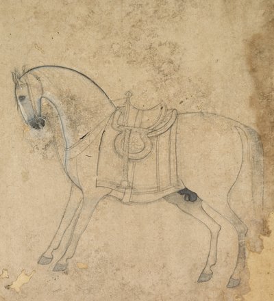 A Saddled Horse by Unbekannt