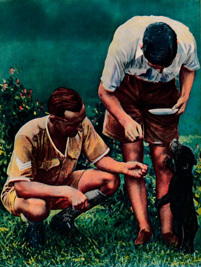 A Singapore Mascot of the RAF, 1940 by Unbekannt