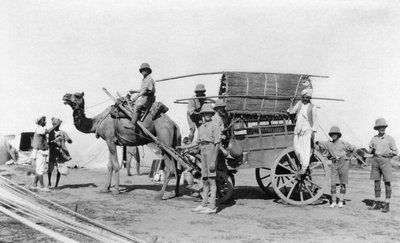 A Camel Cart, India by Unbekannt