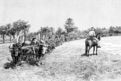 A Convoy of Wagons, South America by Unbekannt