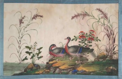 Album Containing Twelve Paintings of Birds by Unbekannt