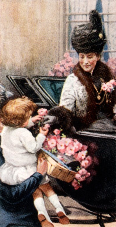 Alexandra Rose Day, c1935 by Unbekannt