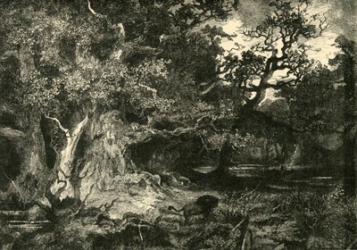 An Old German Forest, 1890 by Unbekannt