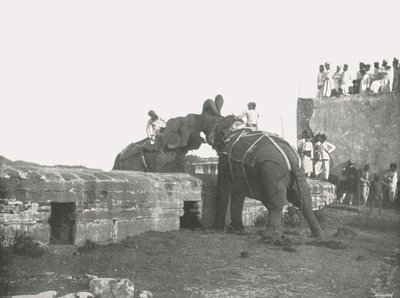 An elephant fight, Hyderabad, India, 1895 by Unbekannt