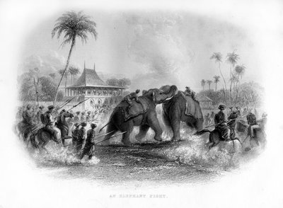 An elephant fight, India by Unbekannt
