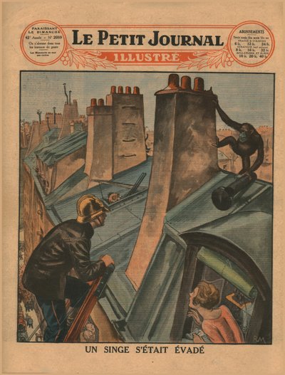 An escaped chimpanzee, 1930 by Unbekannt