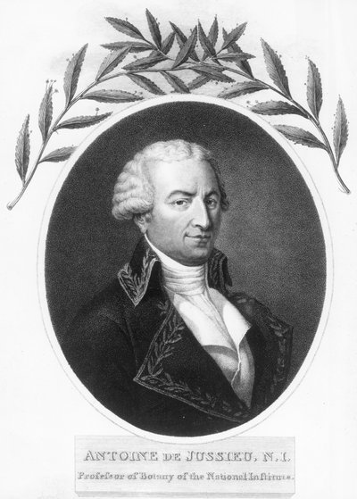 Antoine de Jussieu, 18th Century French Botanist, 1807 by Unbekannt