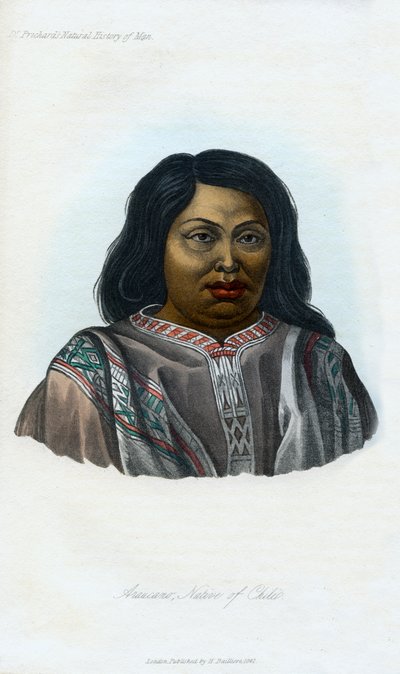 Araucano, Native of Chili, 1848 by Unbekannt