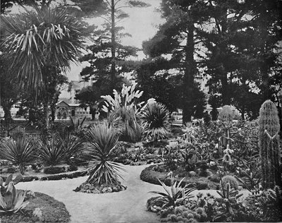 Arizona Garden, Monterey, California by Unbekannt