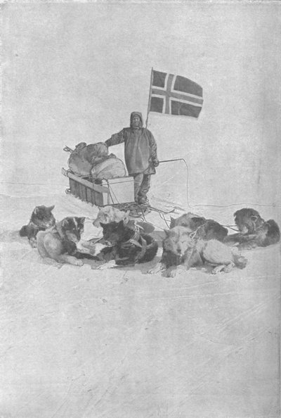 At the South Pole by Unbekannt