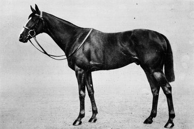 Bachelors Double by Unbekannt