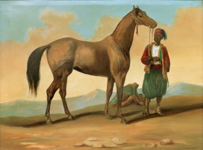 Bedouin with Arabian Horse by Unbekannt