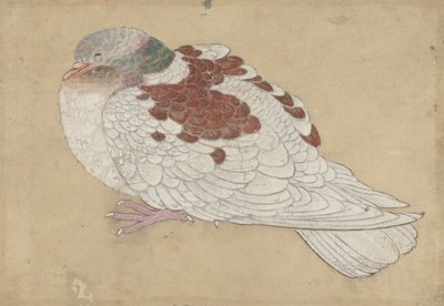 Bird, 18th century by Unbekannt