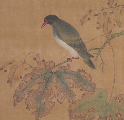 Bird on Branch by Unbekannt