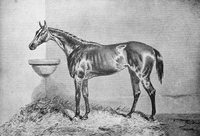 Blink Bonny, 1854-1862 by Unbekannt