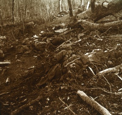 Bodies, Les Éparges, Northern France by Unbekannt