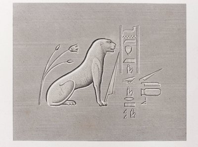 Book: Description of Egypt by Unbekannt