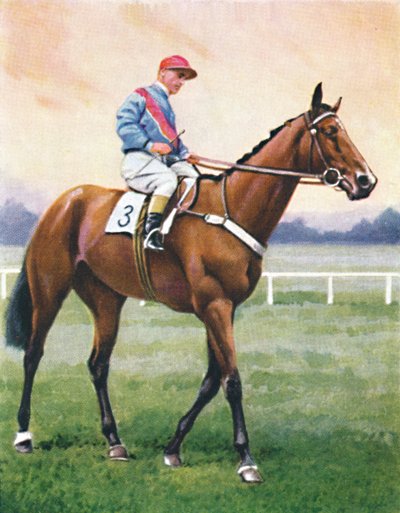 Bookseller, Jockey: G. Richards by Unbekannt