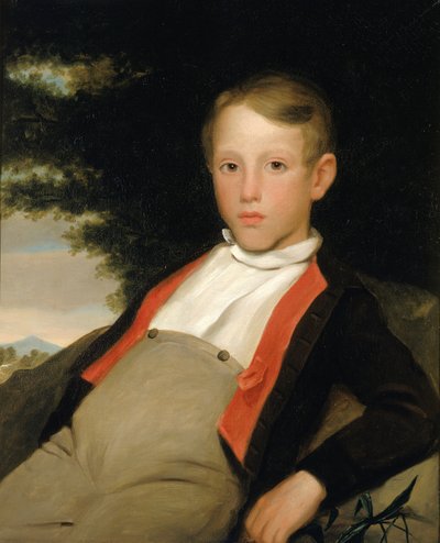 Boy in a Landscape by Unbekannt