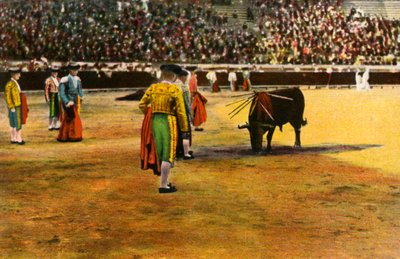 Bull fight by Unbekannt