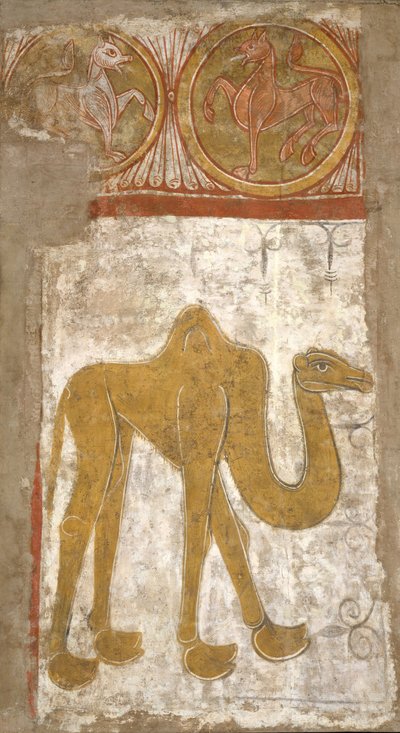 Camel by Unbekannt