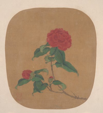 Camellia Flowers by Unbekannt