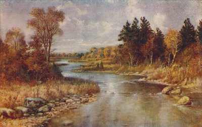 Canadian Forest Scene, 1924 by Unbekannt