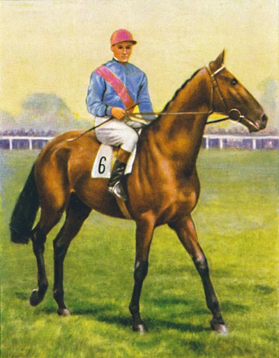 Cave Man, Jockey: C. Richards by Unbekannt
