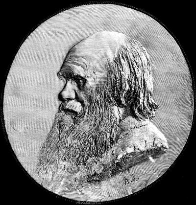 Charles Darwin by Unbekannt