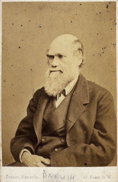 Charles Darwin, English naturalist by Unbekannt